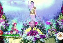 Con Đường Phía Trước – Thích Thiện Thuận con duong phia truoc thich thien