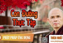 Con Đường Thực Tập – Thích Nhất Hạnh con duong thuc tap thich nhat ha