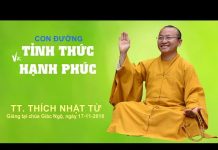 Con Đường Tỉnh Thức Và Hạnh Phúc – Thích Nhật Từ con duong tinh thuc va hanh phuc