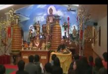 Con Đường Tỏa Sáng – Thích Pháp Hòa con duong toa sang thich phap ho