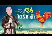 Con Gà Trong Kinh Sử – Thích Pháp Hòa con ga trong kinh su thich phap