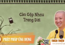 Còn Gặp Nhau Trong Đời (KT85) – Thích Thiện Thuận con gap nhau trong doi kt85 thic
