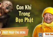 Con Khỉ Trong Đạo Phật – Thích Thanh Từ con khi trong dao phat thich tha