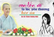 Con Lớn Rồi Là Lúc Yêu Thương Héo Úa – Thích Nữ Hương Nhũ con lon roi la luc yeu thuong he