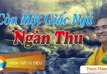 Còn Một Giấc Ngủ Ngàn Thu – Thích Thiện Tuệ con mot giac ngu ngan thu thich
