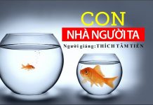 Con Nhà Người Ta – Thích Tâm Tiến con nha nguoi ta thich tam tien