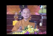 Con Ơi Đừng Để Muộn Màng – Thích Trí Huệ con oi dung de muon mang thich t