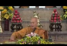 Con Rắn Độc Ngàn Năm – Thích Nữ Tâm Tâm con ran doc ngan nam thich nu ta
