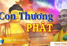 Con Thương Phật – Thích Thiện Tuệ con thuong phat thich thien tue
