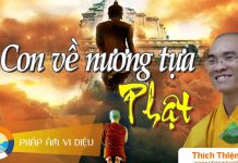 Con Về Nương Tựa Phật – Thích Thiện Tuệ con ve nuong tua phat thich thie
