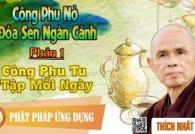 Công Phu Nở Đóa Sen Ngàn Cánh 01: Công Phu Tu Tập Mỗi Ngày – Thích Nhất Hạnh cong phu no doa sen ngan canh 01