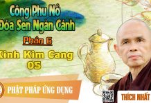 Công Phu Nở Đóa Sen Ngàn Cánh 06: Kinh Kim Cang 05 – Thích Nhất Hạnh cong phu no doa sen ngan canh 06