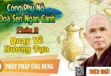 Công Phu Nở Đóa Sen Ngàn Cánh 09: Quay Về Nương Tựa – Thích Nhất Hạnh cong phu no doa sen ngan canh 09