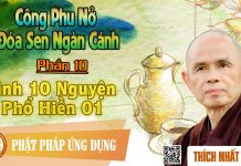 Công Phu Nở Đóa Sen Ngàn Cánh 10: Kinh 10 Nguyện Phổ Hiền 01 – Thích Nhất Hạnh cong phu no doa sen ngan canh 10