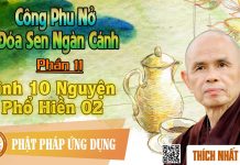 Công Phu Nở Đóa Sen Ngàn Cánh 11: Kinh 10 Nguyện Phổ Hiền 02 – Thích Nhất Hạnh cong phu no doa sen ngan canh 11