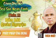 Công Phu Nở Đóa Sen Ngàn Cánh 13: Bốn Lời Quán Nguyện – Thích Nhất Hạnh cong phu no doa sen ngan canh 13