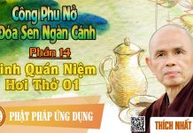 Công Phu Nở Đóa Sen Ngàn Cánh 14: Kinh Quán Niệm Hơi Thở (1) – Thích Nhất Hạnh cong phu no doa sen ngan canh 14