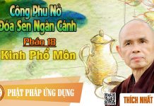 Công Phu Nở Đóa Sen Ngàn Cánh 18: Kinh Phổ Môn – Thích Nhất Hạnh cong phu no doa sen ngan canh 18