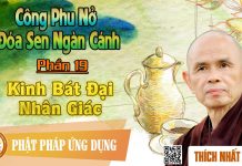 Công Phu Nở Đóa Sen Ngàn Cánh 19: Kinh Bát Đại Nhân Giác – Thích Nhất Hạnh cong phu no doa sen ngan canh 19