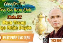 Công Phu Nở Đóa Sen Ngàn Cánh 27: Kinh Trung Đạo Nhân Duyên – Thích Nhất Hạnh cong phu no doa sen ngan canh 27