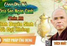Công Phu Nở Đóa Sen Ngàn Cánh 28: Kinh Duyên Sinh Và Đại Không – Thích Nhất Hạnh cong phu no doa sen ngan canh 28