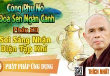 Công Phu Nở Đóa Sen Ngàn Cánh 29: Soi Sáng Nhận Diện Tập Khí – Thích Nhất Hạnh cong phu no doa sen ngan canh 29