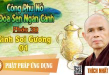 Công Phu Nở Đóa Sen Ngàn Cánh 30: Kinh Soi Gương 1 – Tiếp Xúc Tổ Tiên – Thích Nhất Hạnh cong phu no doa sen ngan canh 30