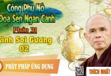 Công Phu Nở Đóa Sen Ngàn Cánh 31: Kinh Soi Gương 2 – Tùy Hỷ Hồi Hướng – Thích Nhất Hạnh cong phu no doa sen ngan canh 31