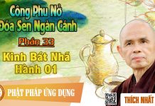 Công Phu Nở Đóa Sen Ngàn Cánh 33: Kinh Bát Nhã Hành 1 – Thích Nhất Hạnh cong phu no doa sen ngan canh 33