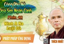 Công Phu Nở Đóa Sen Ngàn Cánh 40: Kinh A Na Luật Đà – Thích Nhất Hạnh cong phu no doa sen ngan canh 40