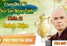 Công Phu Nở Đóa Sen Ngàn Cánh 41: Chánh Niệm – Thích Nhất Hạnh cong phu no doa sen ngan canh 41