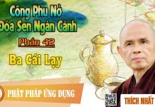 Công Phu Nở Đóa Sen Ngàn Cánh 42: Ba Cái Lạy – Thích Nhất Hạnh cong phu no doa sen ngan canh 42