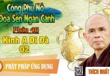 Công Phu Nở Đóa Sen Ngàn Cánh 46: Kinh A Di Đà 2 – Thích Nhất Hạnh cong phu no doa sen ngan canh 46