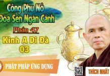 Công Phu Nở Đóa Sen Ngàn Cánh 47: Kinh A Di Đà 3 – Thích Nhất Hạnh cong phu no doa sen ngan canh 47