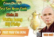 Công Phu Nở Đóa Sen Ngàn Cánh 51: Thiên Long Hộ Pháp – Thích Nhất Hạnh cong phu no doa sen ngan canh 51
