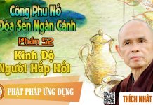 Công Phu Nở Đóa Sen Ngàn Cánh 52: Kinh Độ Người Hấp Hối – Thích Nhất Hạnh cong phu no doa sen ngan canh 52