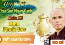 Công Phu Nở Đóa Sen Ngàn Cánh 53: Kinh Phước Đức – Thích Nhất Hạnh cong phu no doa sen ngan canh 53