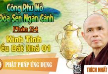Công Phu Nở Đóa Sen Ngàn Cánh 54: Kinh Tinh Yếu Bát Nhã 1 – Thích Nhất Hạnh cong phu no doa sen ngan canh 54