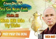 Công Phu Nở Đóa Sen Ngàn Cánh 61: Kinh Hải Đảo Tự Thân – Thích Nhất Hạnh cong phu no doa sen ngan canh 61