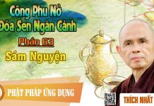 Công Phu Nở Đóa Sen Ngàn Cánh 63: Sám Nguyện – Thích Nhất Hạnh cong phu no doa sen ngan canh 63