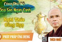 Công Phu Nở Đóa Sen Ngàn Cánh 71: Nghi Thức Cúng Ngọ – Thích Nhất Hạnh cong phu no doa sen ngan canh 71