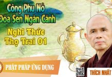 Công Phu Nở Đóa Sen Ngàn Cánh 73: Nghi Thức Thọ Trai 1 – Thích Nhất Hạnh cong phu no doa sen ngan canh 73