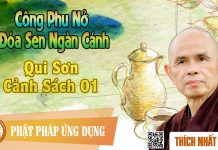 Công Phu Nở Đóa Sen Ngàn Cánh 75: Qui Sơn Cảnh Sách 1 – Thích Nhất Hạnh cong phu no doa sen ngan canh 75