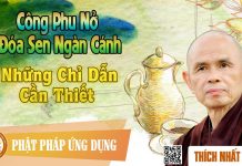 Công Phu Nở Đóa Sen Ngàn Cánh: Những Chỉ Dẫn Cần Thiết – Thích Nhất Hạnh cong phu no doa sen ngan canh nh