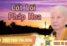 Cốt Lõi Pháp Hoa – Thích Trí Quảng cot loi phap hoa thich tri quang