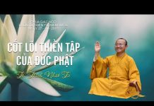 Cốt lõi thiền tập của Đức Phật – Thích Nhật Từ cot loi thien tap cua duc phat t