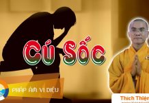 Cú Sốc – Thích Thiện Tuệ cu soc thich thien tue