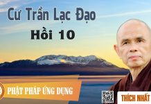 Cư Trần Lạc Đạo Hồi 10 – Thích Nhất Hạnh cu tran lac dao hoi 10 thich nha