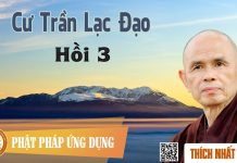 Cư Trần Lạc Đạo Hồi 3 – Thích Nhất Hạnh cu tran lac dao hoi 3 thich nhat