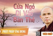Cửa Ngỏ Đi Vào Bản Thể – Thích Nhất Hạnh cua ngo di vao ban the thich nha
